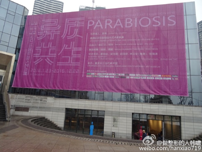  Parabiosis Art Exhibition(图4)